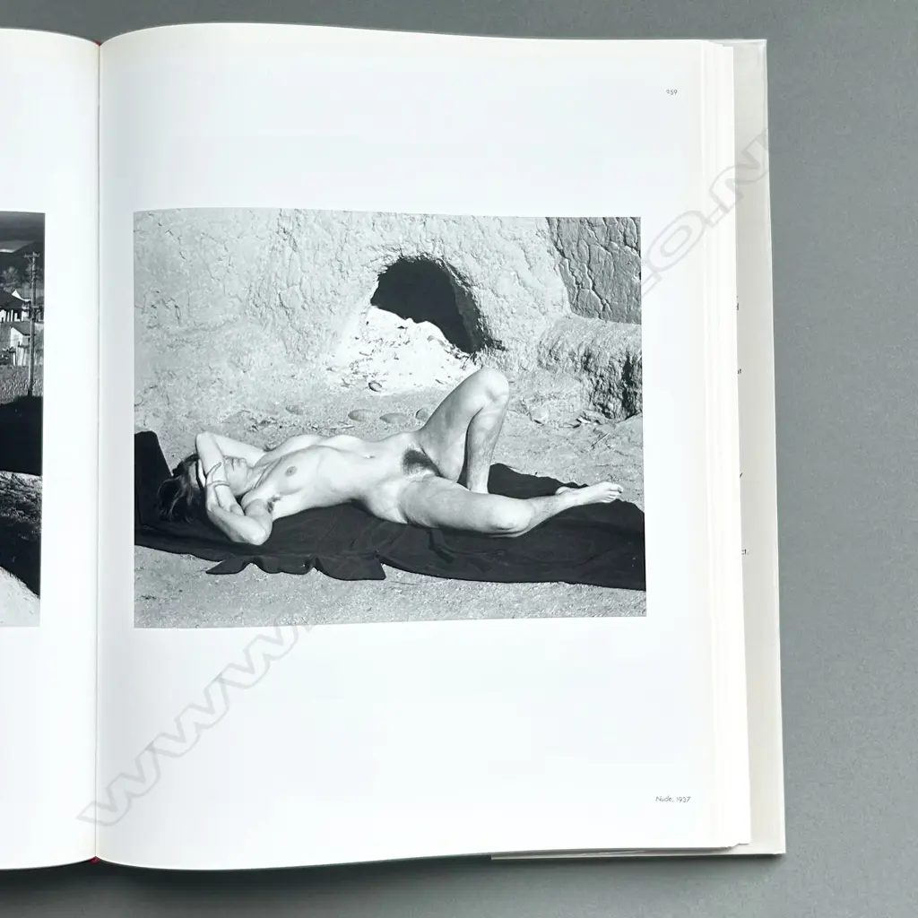 EDWARD WESTON: FORMS OF PASSION PASSION OF FORMS Image 1++